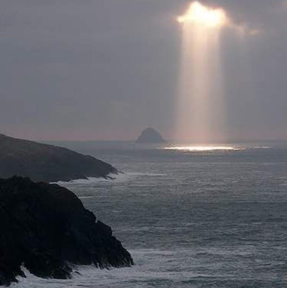 Meet your Posher, Tia - Picture 2 of 2